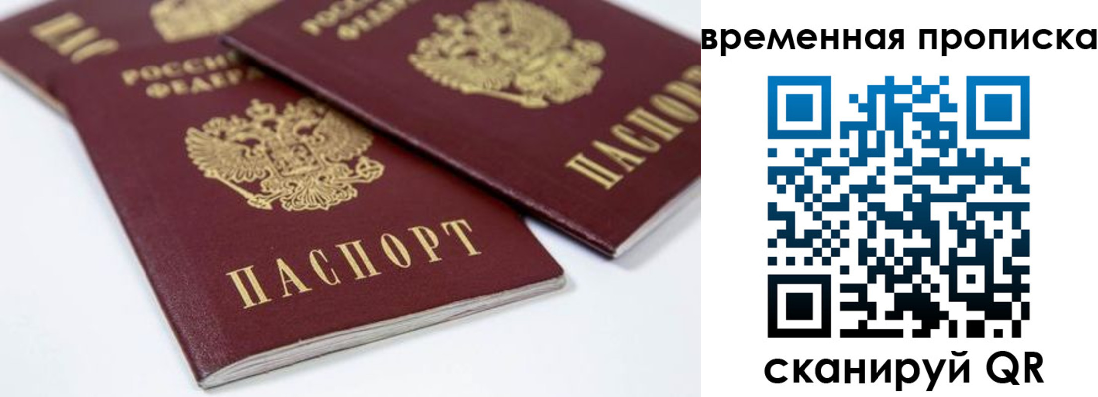 прописка для школы в Сосенском